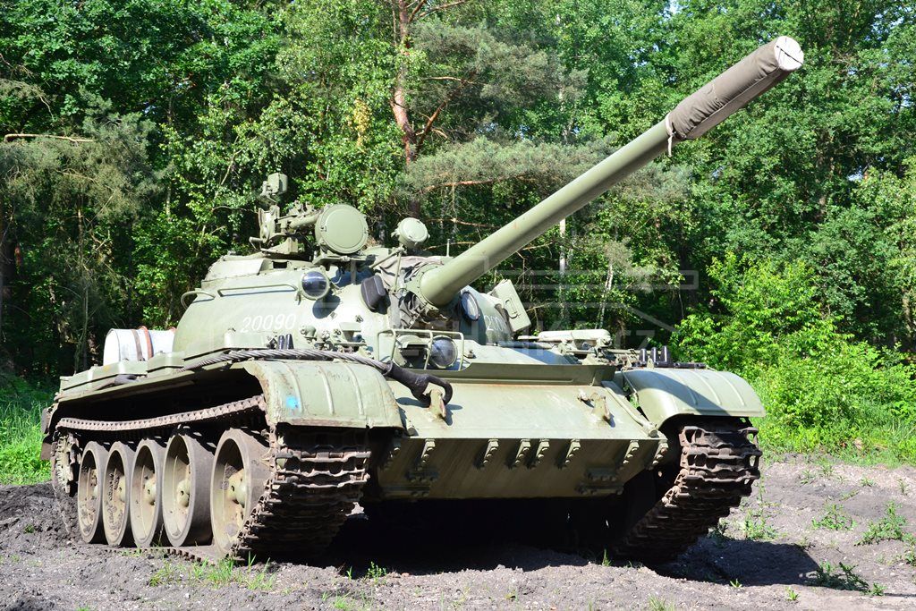 t 55 características